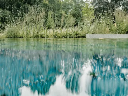 Garten spiegelt sich in einem Natursteinpool