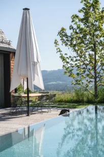 Eine Katze trinkt aus einem Natursteinpool aus Granit