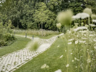 Gartenanlage mit gepflastertem Weg