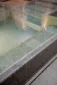 Whirlpool aus massiven Granit mit ruhiger Wasseroberfläche