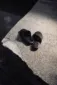 Badeschuhe auf einem Steinhintergrund